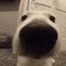 Dale Leon - Facebook