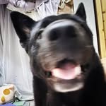 𝗗𝗮𝗹𝗲 - @dalelife18 - Instagram