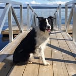 Dale Lightfoot - @lightfoot.dale - Instagram