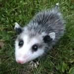Dale linder - @dalelinder - Instagram