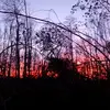 LindsayDale333 - @lindzdale333 - TikTok