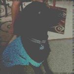 Dale Lloyd - @natekuceramma - Instagram