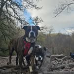 Dale Lloyd-smith - @dalelloydsmith78 - Instagram