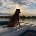 Dale Lundgren - Facebook
