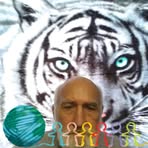 Dale Lundgren - Facebook