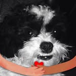 Dale Lyons - @dale.lyons.5439 - Instagram