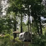 Dale Mackall - @mackallnumb - Instagram