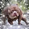 Dale McKinnon - @dale.mckinnon - TikTok