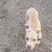 McKinnon Maddy Dale - Facebook
