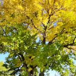 Dale MacAlpine MaGee - @macalpinemagee - Instagram