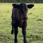 Dale Makin - @dalemakin3815 - Instagram