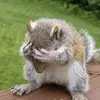 Dale Mallett - @dale.mallett - TikTok