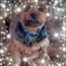 Dale Manley - Facebook