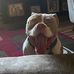 Dale Manning - Facebook