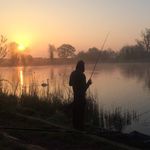 Dale Mannion - @mannion44 - Instagram