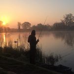 Dale Mannion - @dalemannion - Instagram