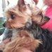 Dale Freida Maples - Facebook