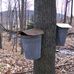 Elm Dale Maple Products - Facebook