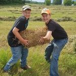 Maple Dale Farms - @maple_dale_farms - Instagram
