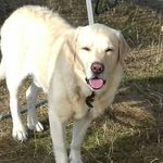 Marion Dale - @marion.dale.106 - Instagram