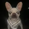 Dale Marron - @dale.marron - TikTok
