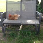 Dale Marriott Cahoon - @mollypocket110 - Instagram