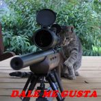 DALE ME GUSTA o el gato te mata X.X - Facebook