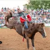 Clay Matlock - @claydalematlock - TikTok