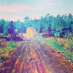 Dale Mattson - @mattson.dale - Instagram