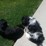 Dale Mattson - @dalemattson - Instagram