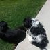 Dale Mattson - Facebook