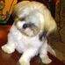 Dale Mattson - Facebook
