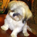 Dale Mattson - @dale.mattson.522 - Instagram