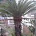 Dale Mayo - Facebook