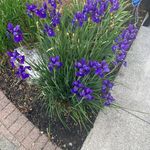 Dale Mays - @dale_mays - Instagram