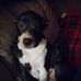 Dale Mccarthy - Facebook