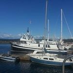 Dale McNeely - @mcneelydale - Instagram