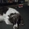 dalemillar1 - @dalemillar1 - TikTok