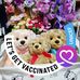 Dale Ming - Facebook