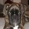 Dale Mizell - @dale.mizell - TikTok