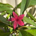 Dale Moir - @moirdale - Instagram