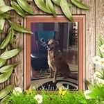 Dale Carr Morrow - @carrmorrow - Instagram