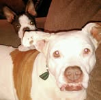 Dale Nicks - Facebook