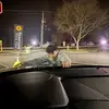 nickdalesspam - @nickdalesspam - TikTok