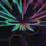 dalenoack - @noack.dale - Instagram