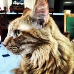 Louie Dale Oldham - @kinglouiedale - Instagram