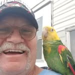 Dale Orr - @dale.orr.9250 - Instagram