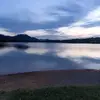 dalepace79 - @dalepace79 - TikTok