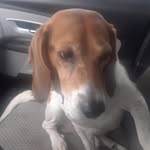 Dale Pack - @dalepack_12 - Instagram