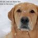 Dale Pack - Facebook